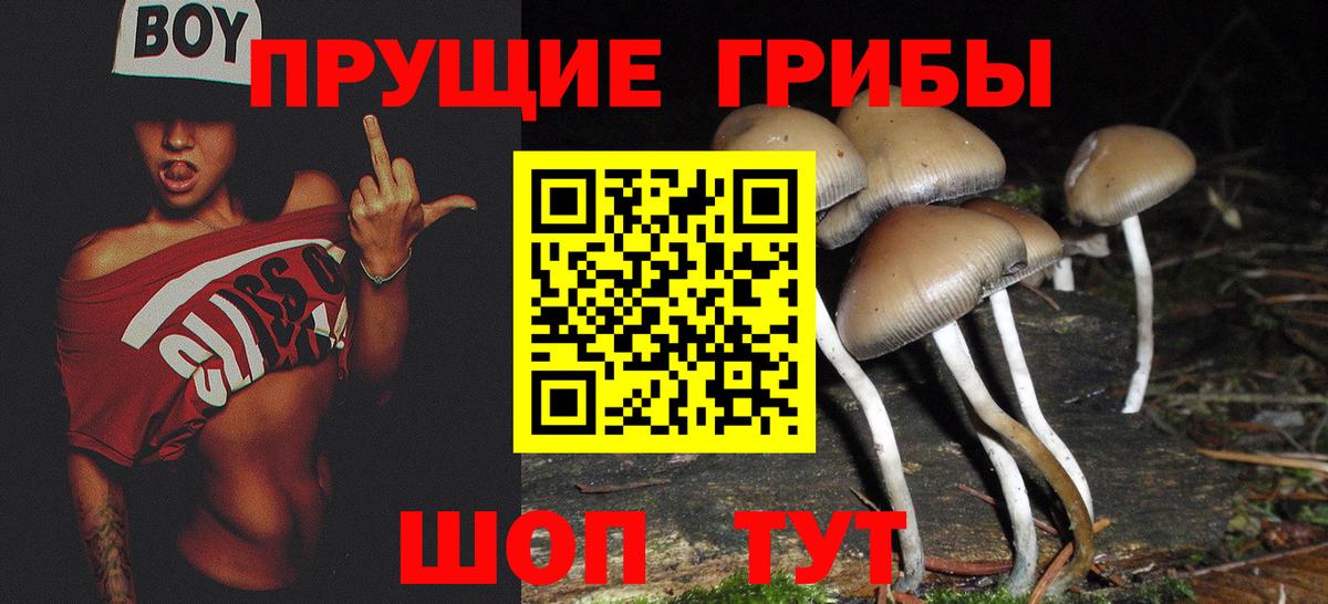 Псилоцибиновые грибы Cubensis Сертолово
